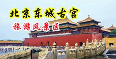 美女操逼的视频中国北京-东城古宫旅游风景区